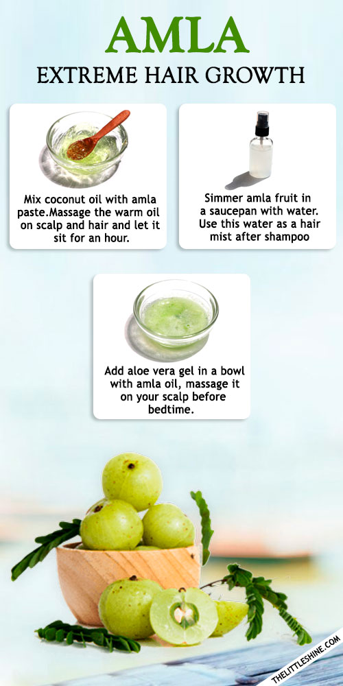 AMLA FOR EXTREME HAIR GROWTH - BENEFITS AND WAYS TO USE - The Little Shine