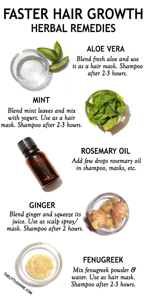HERBAL REMEDIES FOR FASTER HAIR GROWTH - The Little Shine