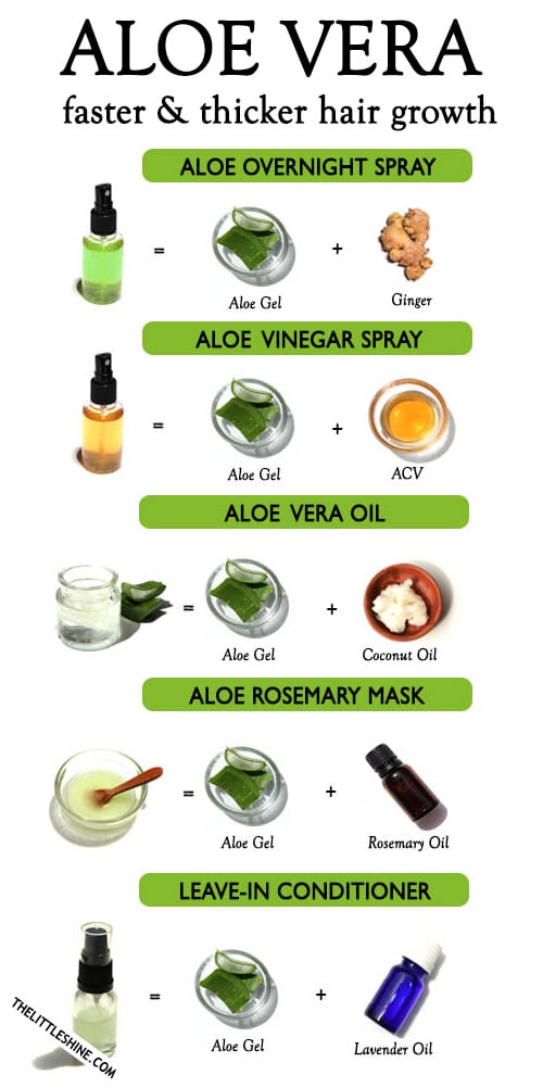 WAYS TO USE ALOE VERA FOR HAIR GROWTH - The Little Shine