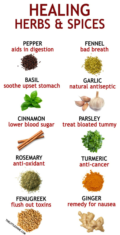 10 HEALING HERBS AND SPICES
