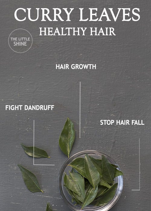 CURRY LEAVES FOR HEALTHY HAIR