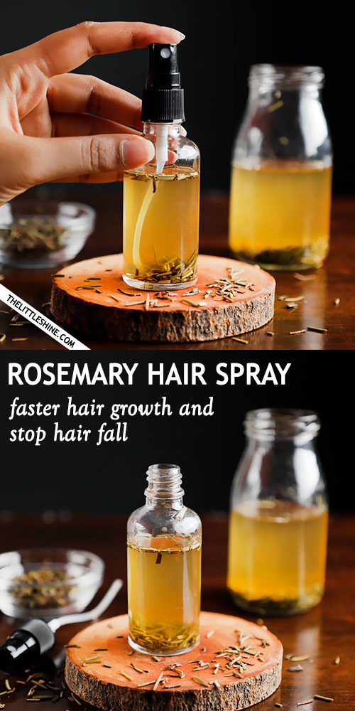 ROSEMARY HAIR SPRAY FOR HAIR GROWTH AND STOP HAIR FALL The Little Shine