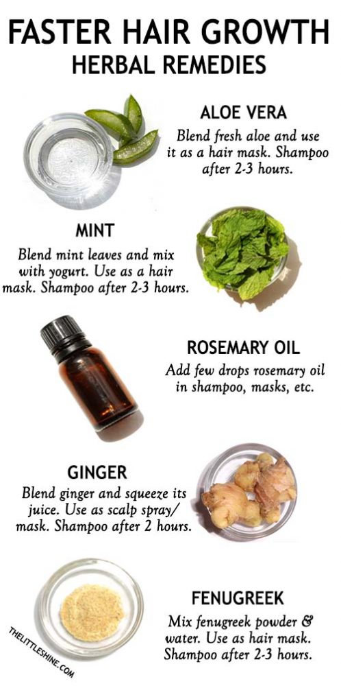 herbal-remedies-for-faster-hair-growth-the-little-shine