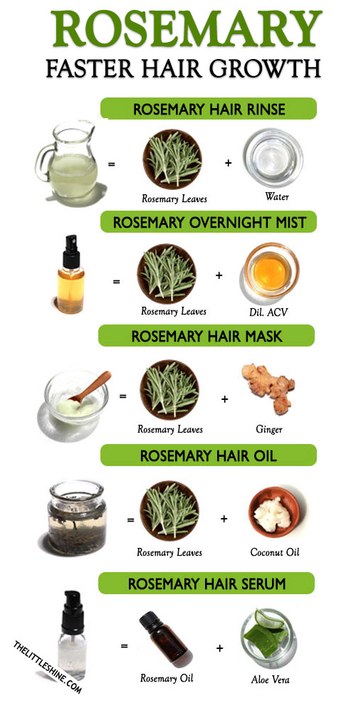 ROSEMARY FOR FASTER HAIR GROWTH – The Little Shine