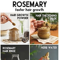 rosemary hair growth