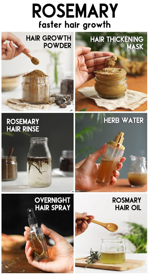 ROSEMARY - benefits, and uses for faster hair growth