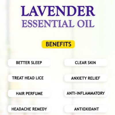 LAVENDER ESSENTIAL OIL BENEFITS AND USES