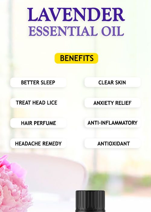 LAVENDER ESSENTIAL OIL BENEFITS AND USES