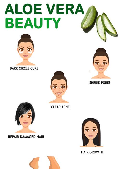 10 Best beauty tips using aloe vera