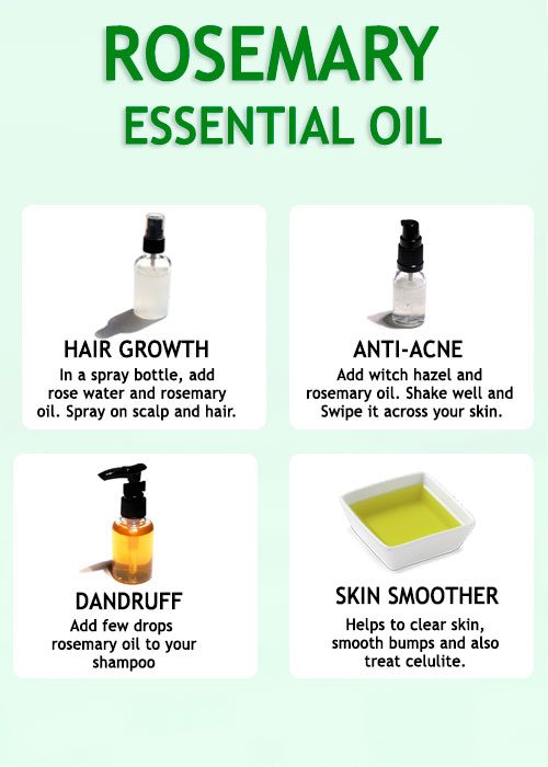 ROSEMARY ESSENTIAL OIL - BENEFITS AND USES