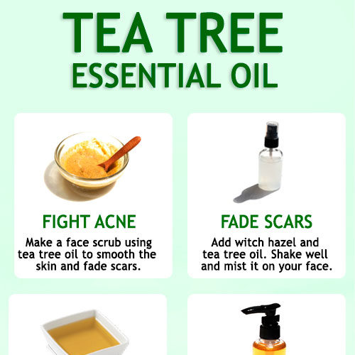 TEA TREE OIL TO CLEAR ACNE AND ACNE SCARS - The Little Shine