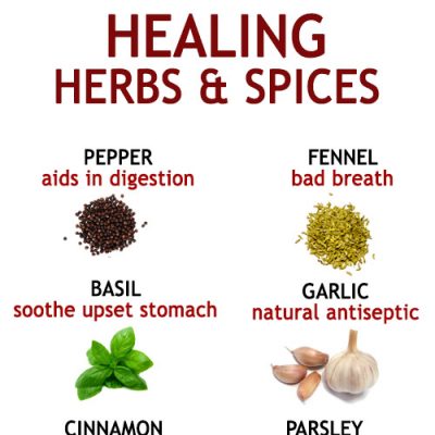 10 HEALING HERBS AND SPICES