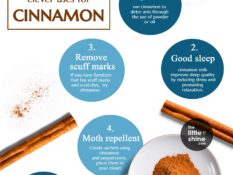 Cinnamon Benefits and Uses