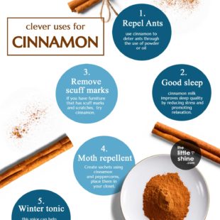 Cinnamon Benefits and Uses