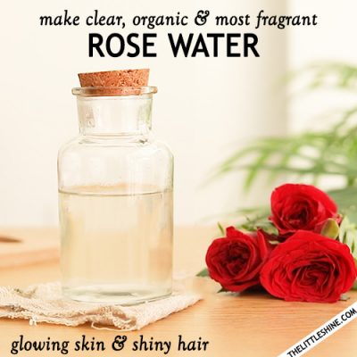 Clear, organic and most fragrant rose water recipe