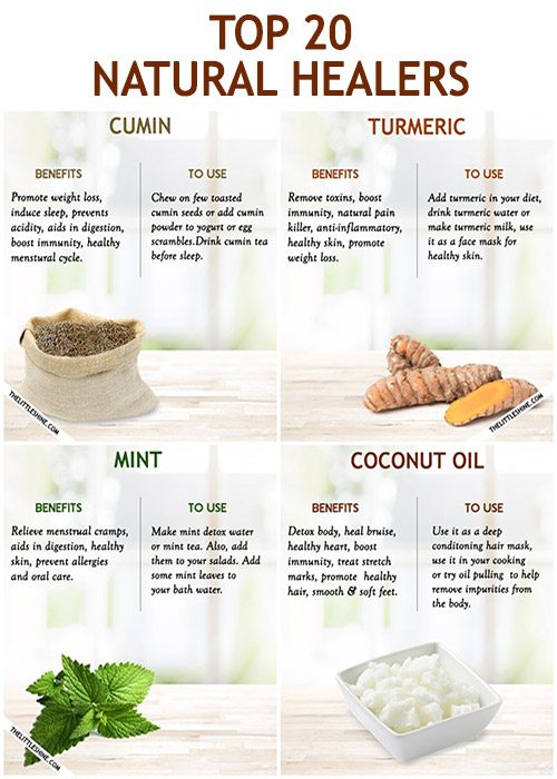 TOP 20 NATURAL KITCHEN HEALERS