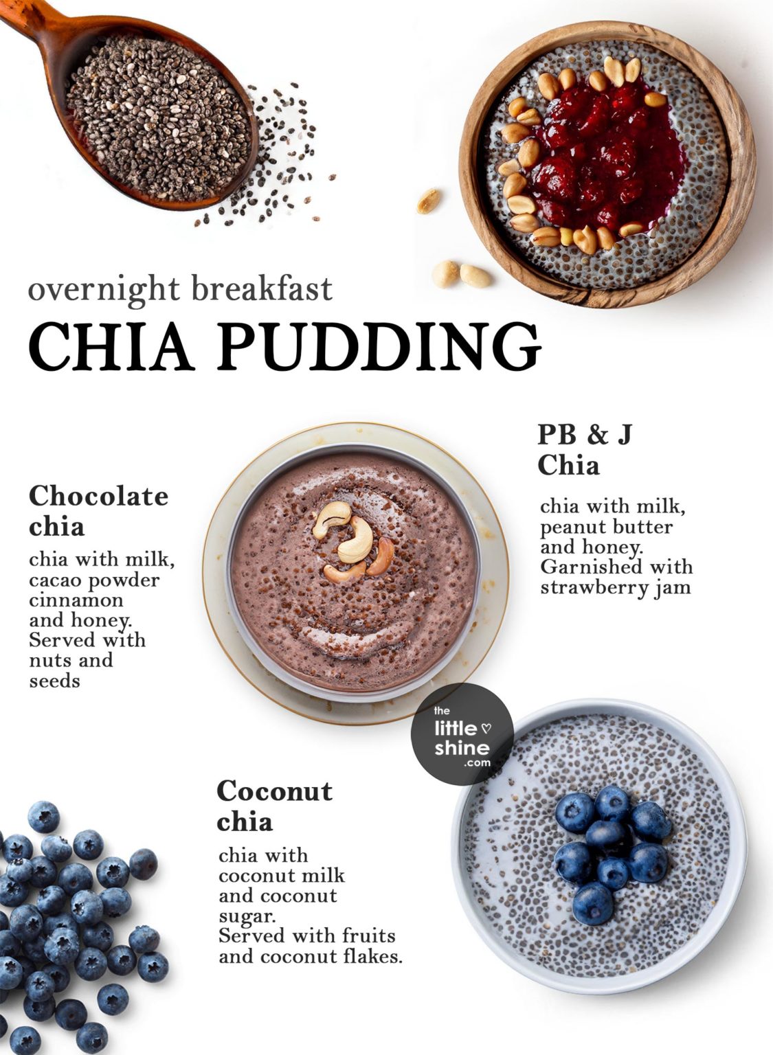 5 BEST CHIA PUDDING RECIPES - The Little Shine