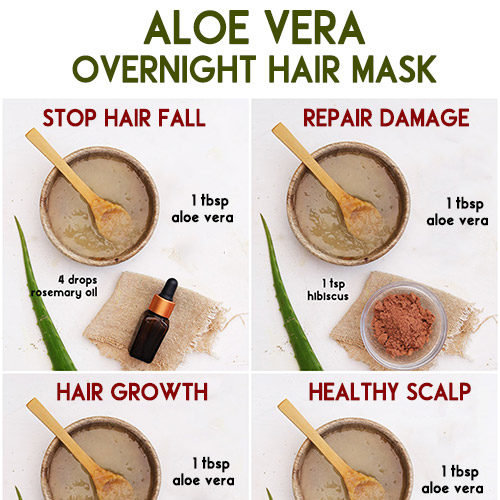 Overnight Aloe Vera Hair Masks The Little Shine