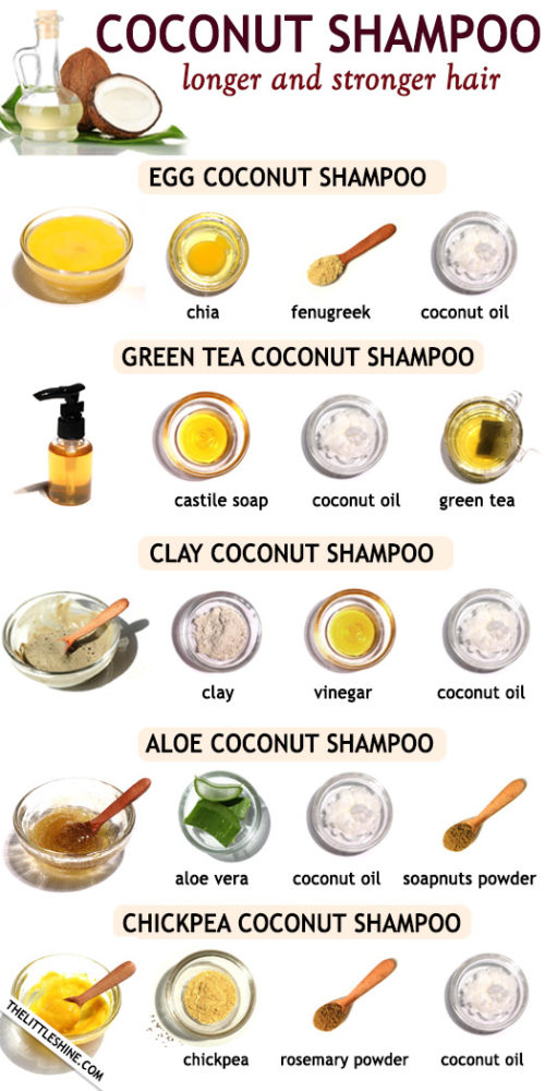 DIY NATURAL COCONUT OIL SHAMPOO RECIPES - The Little Shine