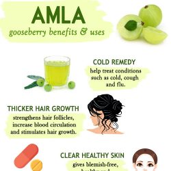 Amla - Health and Beauty Benefits and uses
