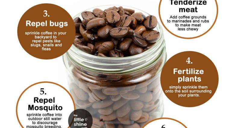 Amazing ways to use coffee and coffee grounds