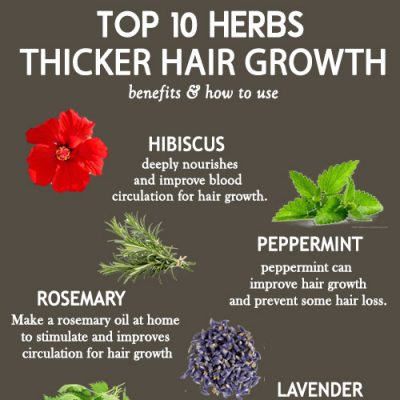 Top 10 Amazing Herbs For Faster and thicker Hair Growth