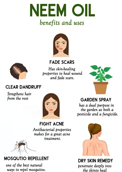 NEEM OIL benefits and uses