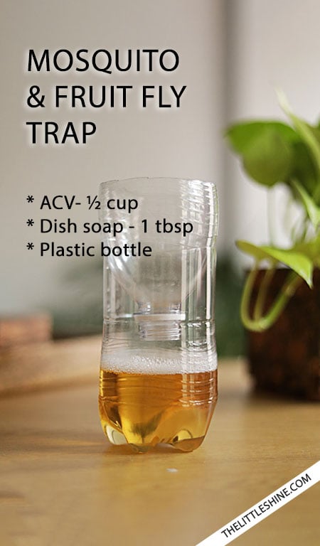 DIY natural Fruit Flies, wasps, and Mosquito Trap
