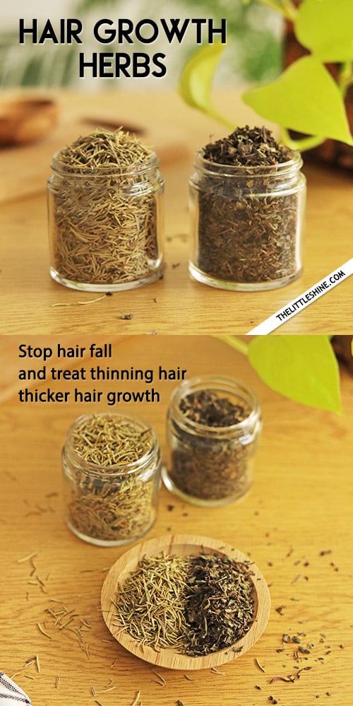 2 BEST HERBS to stop hair fall and treat thinning hair