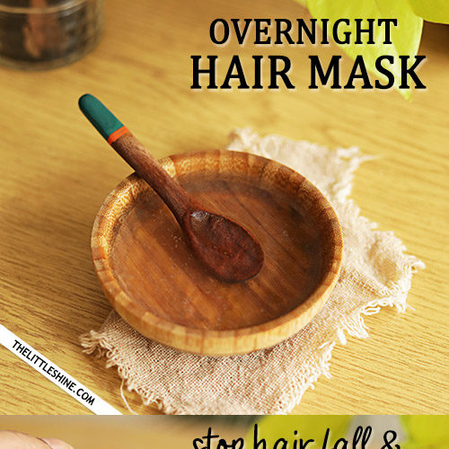 Overnight hair mask to stop hair fall The Little Shine