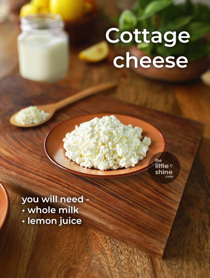 VIDEO - Make cream cheese, cottage cheese and mozzarella cheese at home with only 2 ingredients