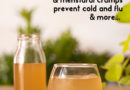 GINGER ALE RECIPE AND BENEFITS
