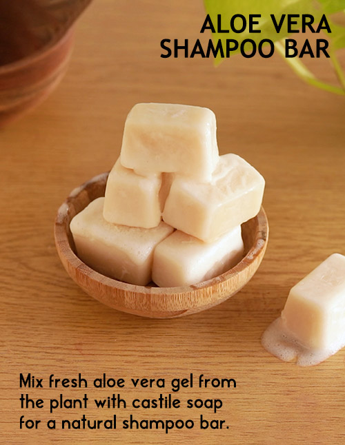 Aloe Vera shampoo bar