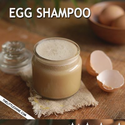 EGG PROTEIN SHAMPOO for stronger and healthy hair