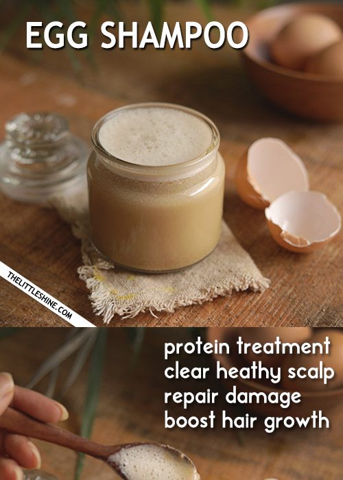 EGG PROTEIN SHAMPOO for stronger and healthy hair