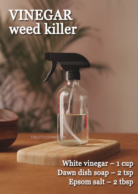  Vinegar weed killer