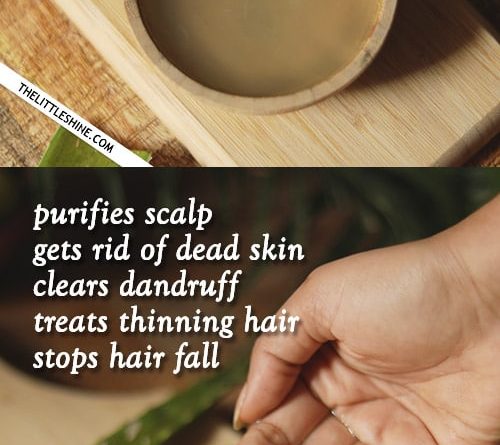 Exfoliate scalp, remove dead skin, stop hair fall with aloe vera and rosemary