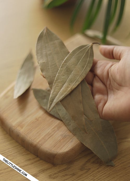BAY LEAVES BENEFITS, REMEDIES AND USES