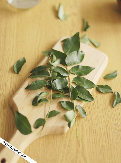 Benefits And Uses Of Curry Leaves