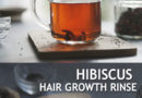 HIBISCUS TEA BENEFITS AND RECIPES