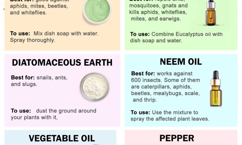 8 Natural Pesticides for Your Garden That Actually Work