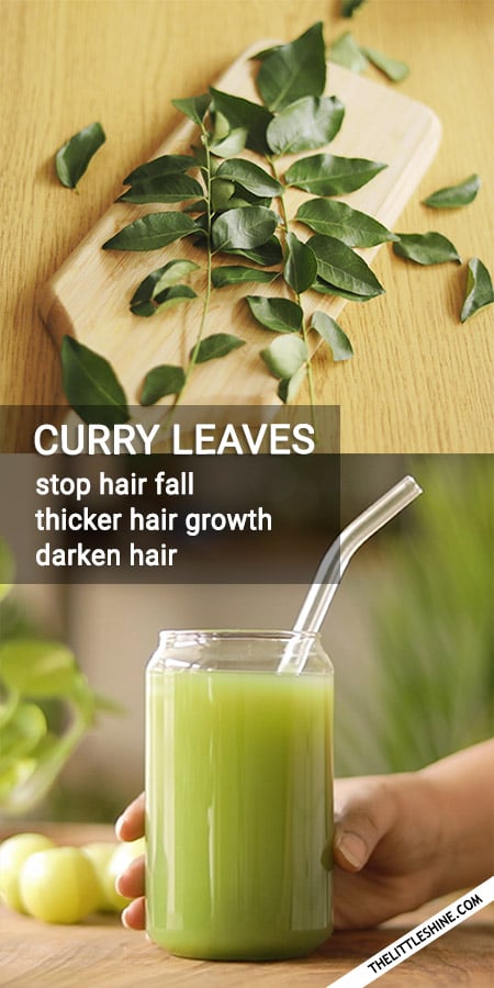 CURRY LEAVES BENEFITS AND USES FOR HAIR GROWTH