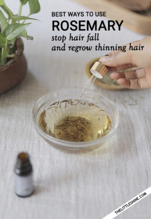 RIGHT WAY TO USE ROSEMARY FOR EXTREME HAIR GROWTH - The Little Shine