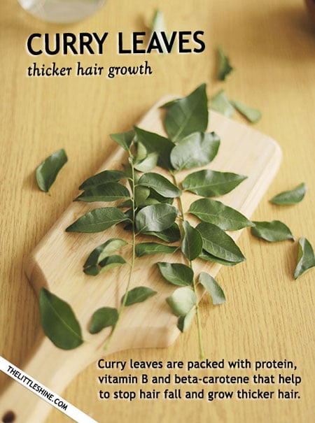 THREE BEST HAIR THICKENING FOODS – AMLA, CURRY LEAVES, FLAXSEEDS