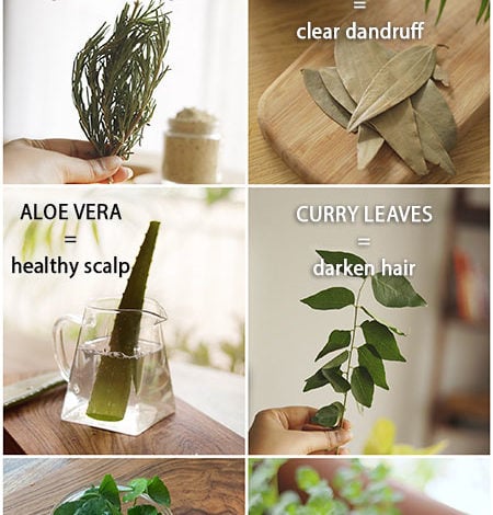 6 BEST HERBS TO TREAT HAIR PROBLEMS