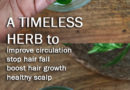 A TIMELESS HERB FOR HEALTHY HAIR GROWTH