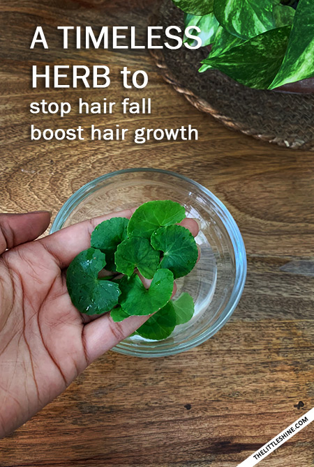 A TIMELESS HERB FOR HEALTHY HAIR GROWTH