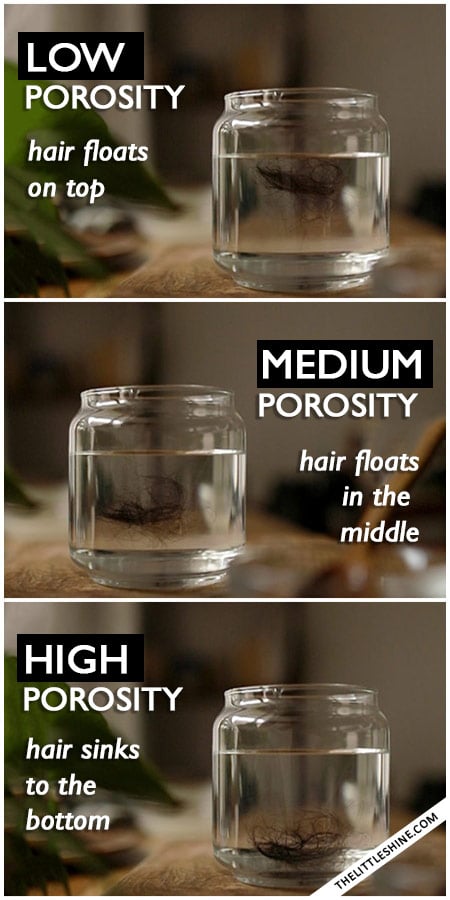 How well Do You Know Your Hair? Porosity Hair Type