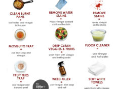 VINEGAR HOME & BEAUTY USES