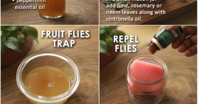 DIY Homemade Natural, Non-Toxic Insect, Bug and Mosquito Repellent